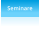 Seminare