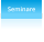 Seminare